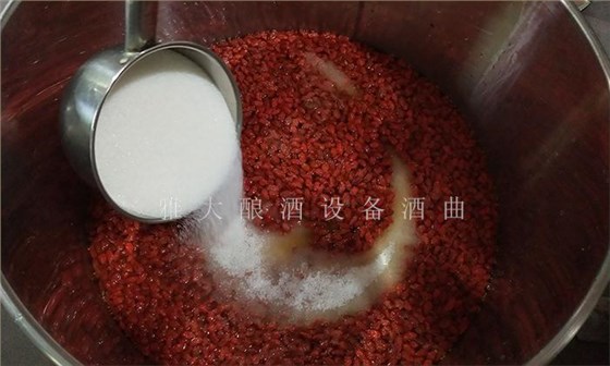 枸杞泡酒你见过,那枸杞发酵酒你见过吗? 6 枸杞泡酒你见过,那枸杞发酵酒你见过吗? 6