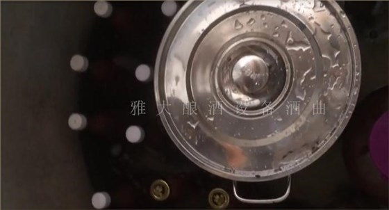 枸杞泡酒你见过,那枸杞发酵酒你见过吗? 9 枸杞泡酒你见过,那枸杞发酵酒你见过吗? 9