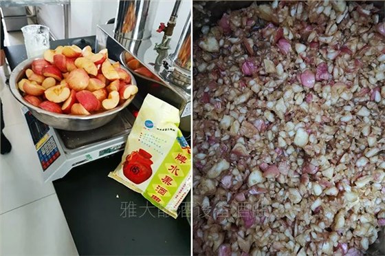 9月28日-10月18购雅大酿酒设备,多种特色酒实操课免费学! 6 9月28日-10月18购雅大酿酒设备,多种特色酒实操课免费学! 6