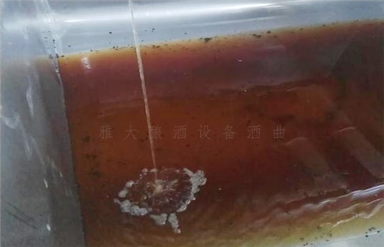 固态酿酒时黄漏入黄水坑中导致短产