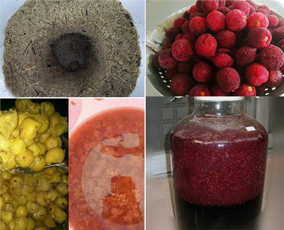 雅大酿酒设备春节教学员酿造的水果酒