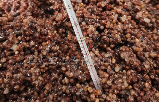3-12春季下曲温度在20-30度之间 3-12春季下曲温度在20-30度之间
