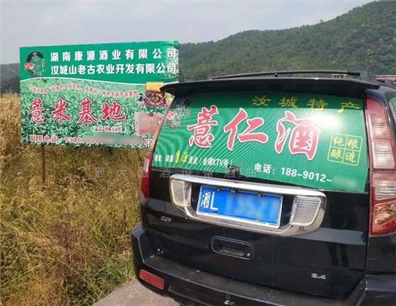 薏米种植基地