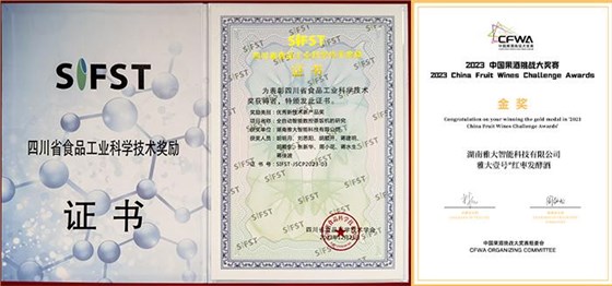 雅大总经理胡明月荣获2024年湖南省企业创新达人 9