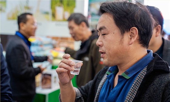 小曲清香型白酒检测全攻略：指标解析与送检要点 2