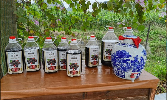 桑葚“次果”变黄金！低成本酿热销果酒，增收秘诀看这里！ 1