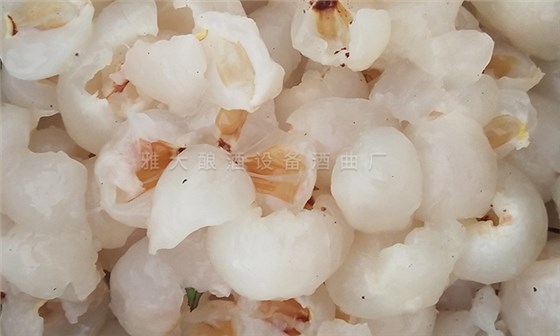 用果酒酿酒设备将滞销荔枝酿成高端酒，利润翻番！ 4