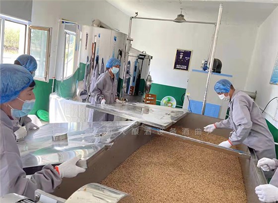 夏季酿酒卫生指南：6招锁死杂菌，保障口感与出酒率！ 5