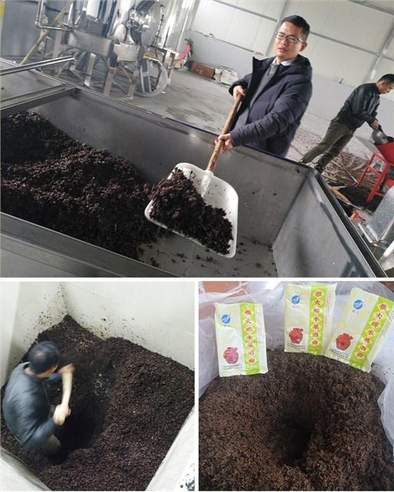 拐枣酿酒设备 4
