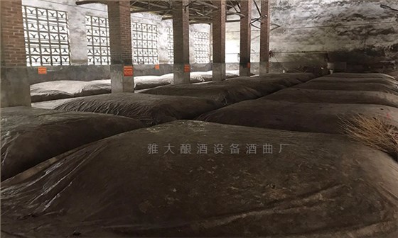 白酒的迷人香气从何而来？一文读懂背后的奥秘 5