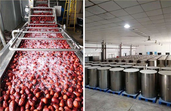 雅大酿酒设备厂家合作客户新疆叶河源红枣酒 4