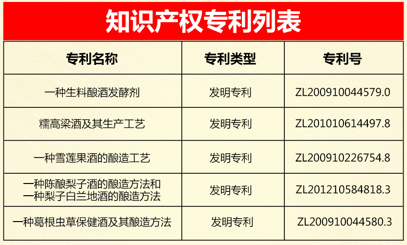 知识产权专利列表