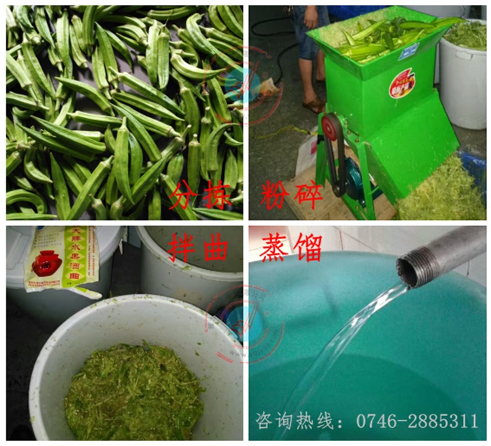 雅大黄秋葵酒工艺流程