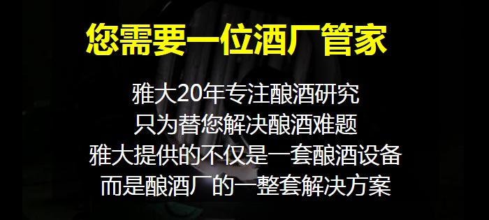 雅大20年专注酿酒行业