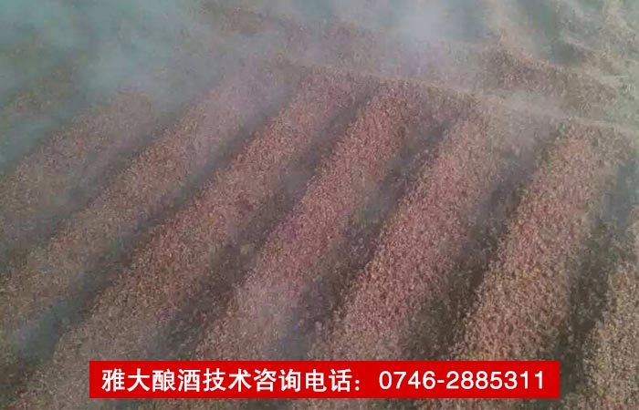 【酿酒技术】传统固态酿酒技术——摊粮