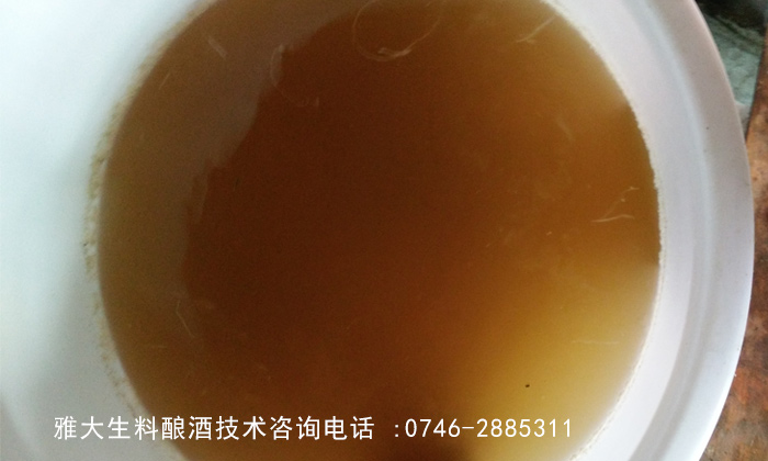 【雅大蒸酒设备酿酒教学】玉米生料液态酿酒技术