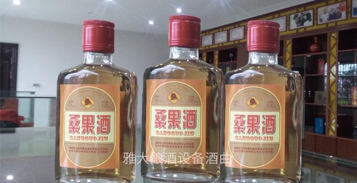 是什么让雅大白酒生产设备学员小王走上桑果酒的酿造之路？