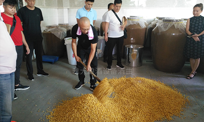 4步教您用粮食酿酒设备做固态玉米酒,纯实操!-05 4步教您用粮食酿酒设备做固态玉米酒,纯实操!-05