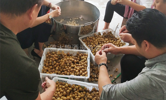 纯实操！雅大大型酿酒设备酿酒师教泰国华裔制作龙眼酒-02