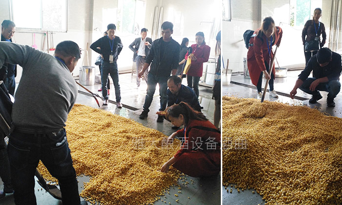 雅大优惠活动持续升温,恭喜潘总抽中200斤粮食酿酒设备1套-12-实操学习 雅大优惠活动持续升温,恭喜潘总抽中200斤粮食酿酒设备1套-12-实操学习