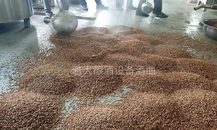 拥有10多套房产的包租婆,为何选择用粮食酿酒设备做酒?-04 拥有10多套房产的包租婆,为何选择用粮食酿酒设备做酒?-04