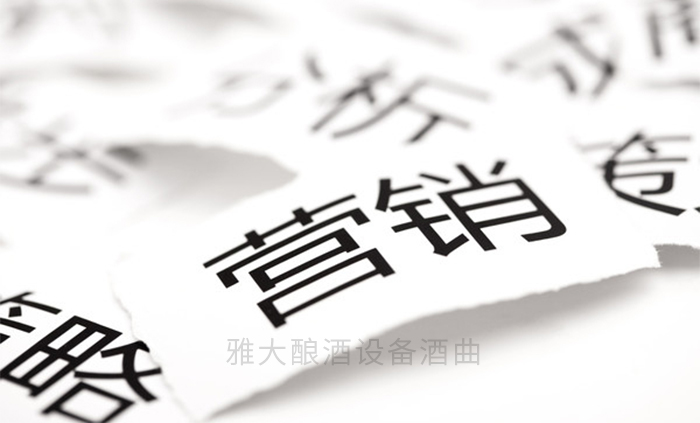 营销策略 营销策略