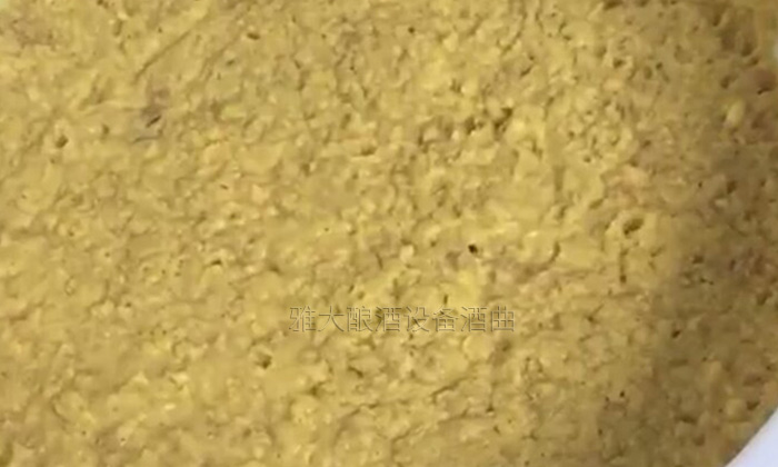 大型酿酒设备怎样做出好喝的红薯酒?红薯酿酒方法!-06-红薯酿酒发酵 大型酿酒设备怎样做出好喝的红薯酒?红薯酿酒方法!-06-红薯酿酒发酵
