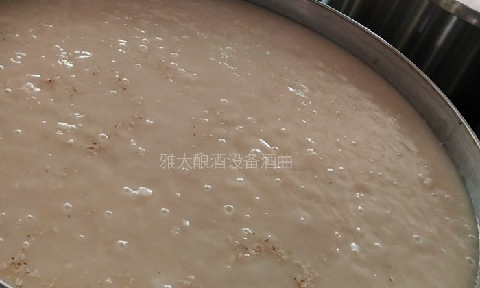 用粮食酿酒设备做生料酒的3大关键步骤，您清楚吗？-04-生料大米酿酒