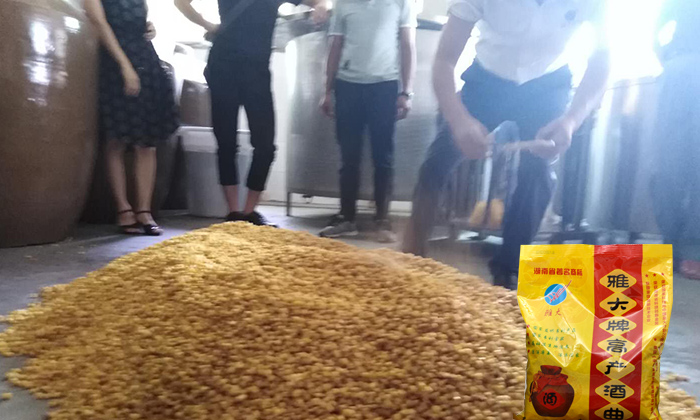 用大型酿酒设备做固态酒时,遇到酒酸、酒苦该如何解决?-02 用大型酿酒设备做固态酒时,遇到酒酸、酒苦该如何解决?-02