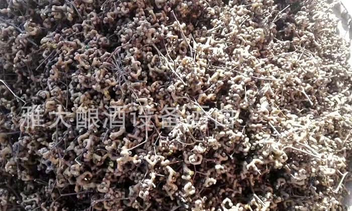 民间用小型白酒酿酒设备酿了40年的拐枣酿酒经验,步骤都告诉你!-03 民间用小型白酒酿酒设备酿了40年的拐枣酿酒经验,步骤都告诉你!-03