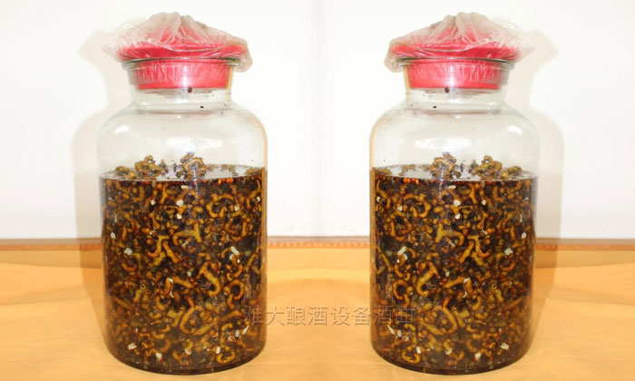 民间用小型白酒酿酒设备酿了40年的拐枣酿酒经验,步骤都告诉你!-06-拐枣泡酒 民间用小型白酒酿酒设备酿了40年的拐枣酿酒经验,步骤都告诉你!-06-拐枣泡酒