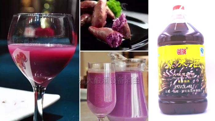 小型酒厂设备——用紫薯干制作特色紫薯黄酒的酿酒方法-05-紫薯酒