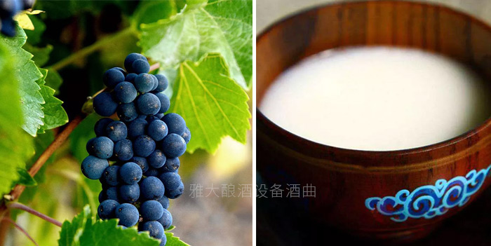 不锈钢酿酒设备——中国酒起源于农业生产,是不是真的?-06 不锈钢酿酒设备——中国酒起源于农业生产,是不是真的?-06