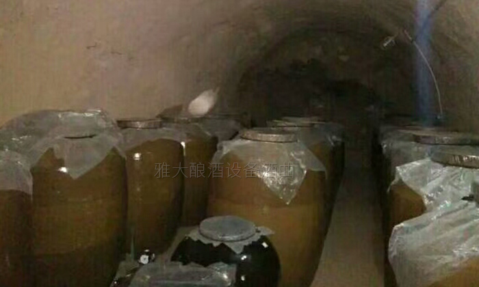 50岁高阿姨借助不锈钢酿酒设备,带领当地百姓发家致富-09 50岁高阿姨借助不锈钢酿酒设备,带领当地百姓发家致富-09