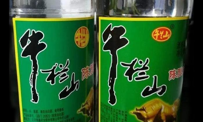 看过这6款“奇葩山寨酒” 才明白用酿酒新设备做纯粮酒有多幸福-01 看过这6款“奇葩山寨酒” 才明白用酿酒新设备做纯粮酒有多幸福-01