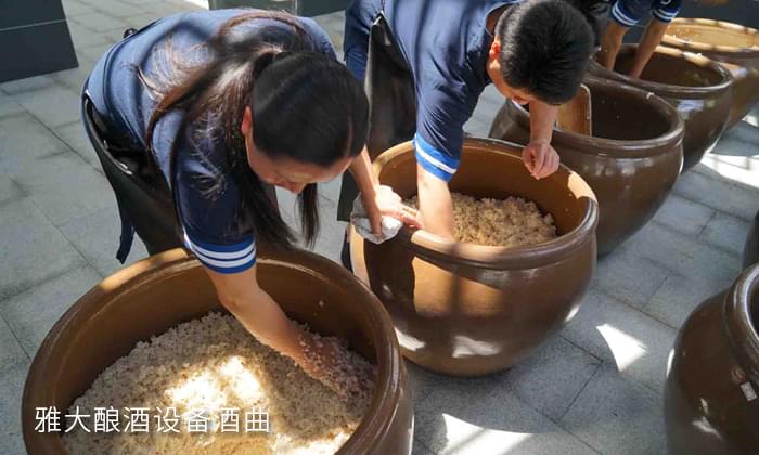 看过这6款“奇葩山寨酒” 才明白用酿酒新设备做纯粮酒有多幸福-07 看过这6款“奇葩山寨酒” 才明白用酿酒新设备做纯粮酒有多幸福-07
