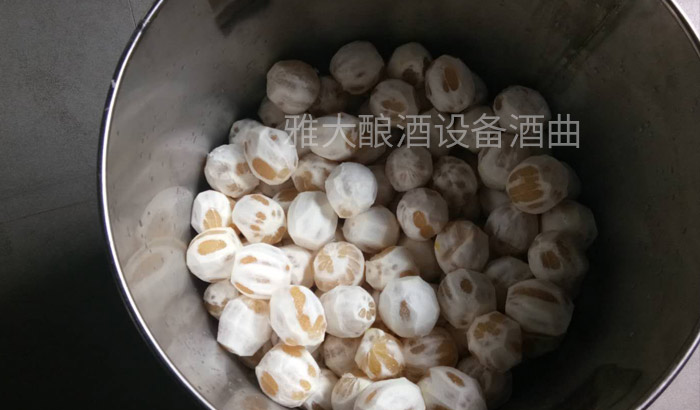 看过来,大型酿酒设备厂家制作柠檬酒的标准教程在这里!-02 看过来,大型酿酒设备厂家制作柠檬酒的标准教程在这里!-02