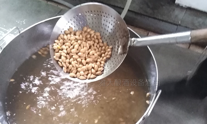 银杏果酒怎么做?20年酿酒经验的新工艺酿酒设备厂手把手教您做!-03 银杏果酒怎么做?20年酿酒经验的新工艺酿酒设备厂手把手教您做!-03