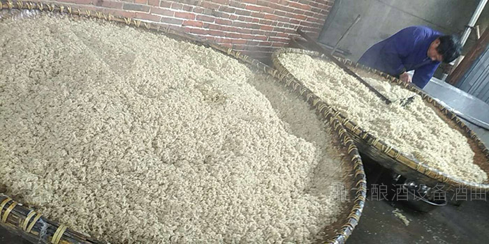 想将臭皮柑酿成酒,让臭皮柑香起来,酿酒设备哪家好?-02 想将臭皮柑酿成酒,让臭皮柑香起来,酿酒设备哪家好?-02