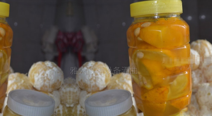 想将臭皮柑酿成酒,让臭皮柑香起来,酿酒设备哪家好?-03-臭皮桔1 想将臭皮柑酿成酒,让臭皮柑香起来,酿酒设备哪家好?-03-臭皮桔1