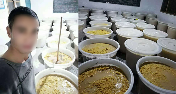 玉米酿酒设备做的生料玉米酒口感真的有那么差么?-05-玉米生料酿酒 玉米酿酒设备做的生料玉米酒口感真的有那么差么?-05-玉米生料酿酒