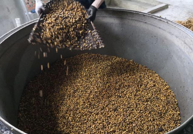 用中型酿酒设备蒸馏固态白酒,这样蒸才能去苦增香——装甑-01 用中型酿酒设备蒸馏固态白酒,这样蒸才能去苦增香——装甑-01