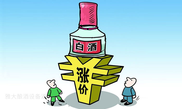 17-白酒涨价 17-白酒涨价