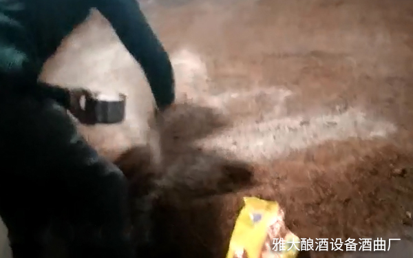 上门帮客户发酵、酿酒 上门帮客户发酵、酿酒