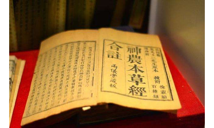 苍耳对治疗鼻炎,鼻窦炎有一定的效果 苍耳对治疗鼻炎,鼻窦炎有一定的效果