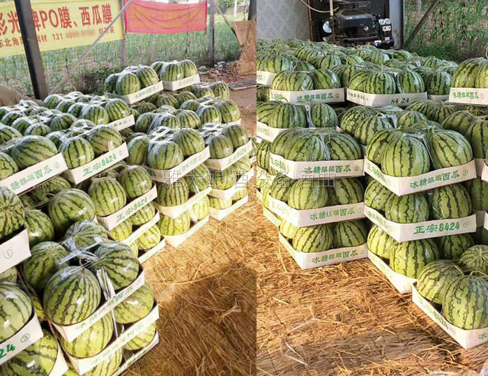 充分利用资源变废为宝 充分利用资源变废为宝