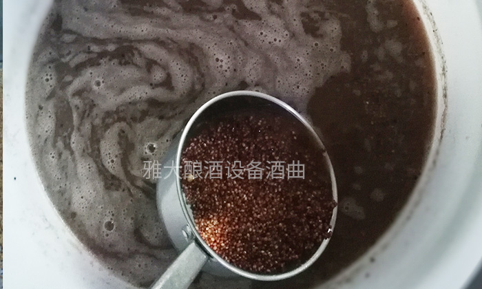 高粱做酒首先泡粮 高粱做酒首先泡粮