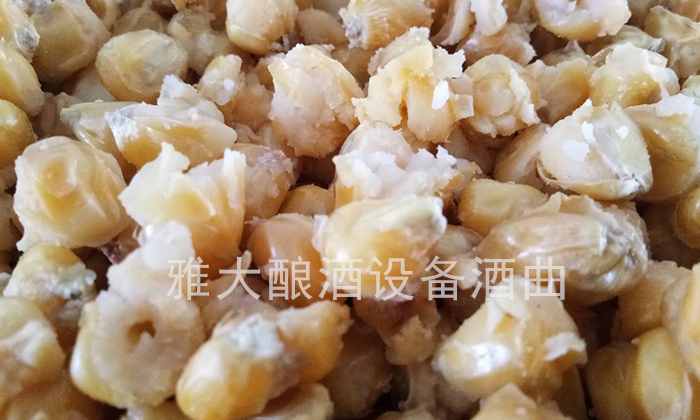 27-白酒酿酒设备 蒸酒时避免开大花 27-白酒酿酒设备 蒸酒时避免开大花