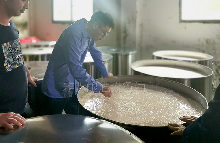 共同探讨酿酒技术3 共同探讨酿酒技术3