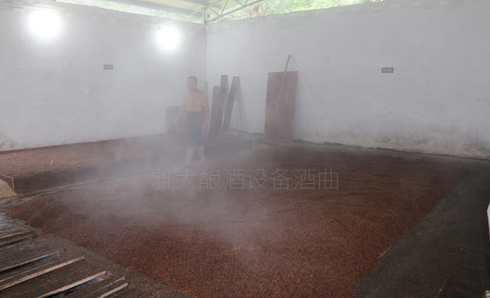 糯高粱酿酒技术交流 糯高粱酿酒技术交流